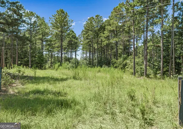 17th image of 3191 Syrup Mill Xing, Greensboro, GA 30642 | MLS# 10831183