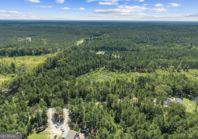5th image of 3191 Syrup Mill Xing, Greensboro, GA 30642 | MLS# 10831183
