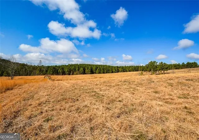 3rd image of 119 Inland Dr 3 Acres, Talking Rock, GA 30175 | MLS# 10768191