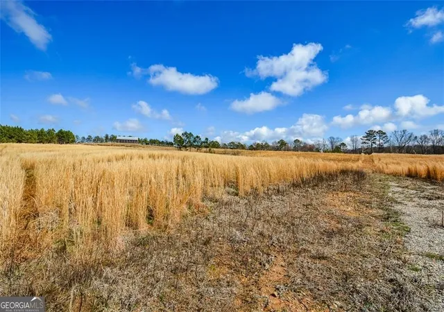 4th image of 119 Inland Dr 3 Acres, Talking Rock, GA 30175 | MLS# 10768191