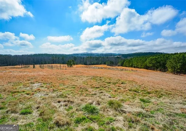 9th image of 119 Inland Dr 3 Acres, Talking Rock, GA 30175 | MLS# 10768191