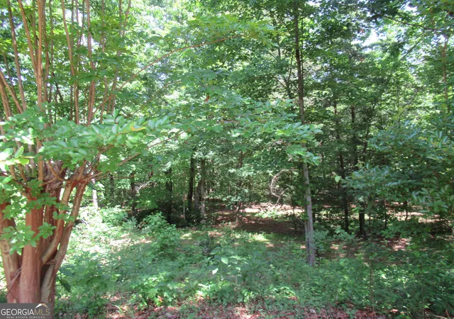 Photo 3 of Single family home for sale at 620 Mount Pleasant Church Rd, Cleveland, GA 30528 | MLS# 10766852 | Listing updated on 2026-09-21