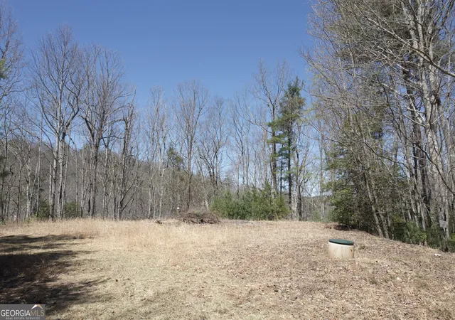 Photo 4 of Land for sale at 457 Youngblood Dr, Blairsville, GA 30512 | MLS# 10719841 | Listing updated on 2026-06-01