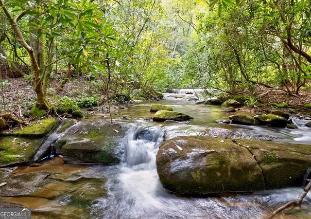 Land for sale at 0 Wolf Pen Trl, Ellijay, GA 30540 | MLS# 10820289