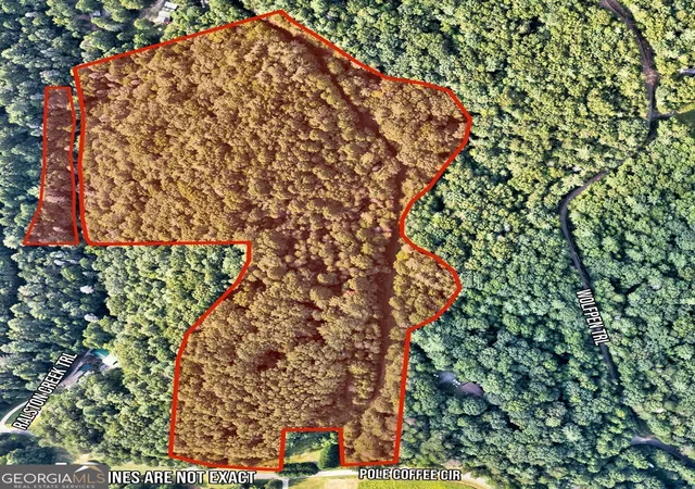 Photo 3 of Land for sale at 0 Wolf Pen Trl, Ellijay, GA 30540 | MLS# 10820289 | Listing updated on 2026-10-09