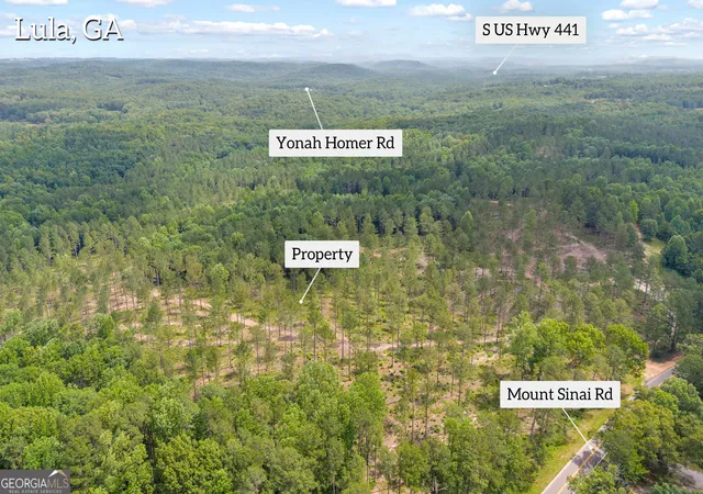 3rd image of 0 Mt Sinai #LOT 3, Lula, GA 30554 | MLS# 10796620