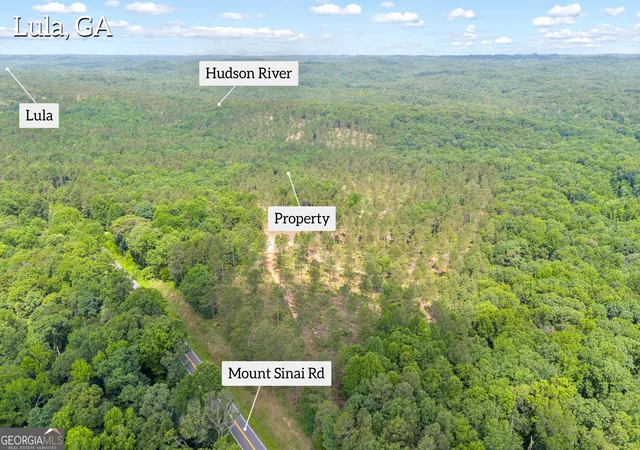 4th image of 0 Mt Sinai #LOT 3, Lula, GA 30554 | MLS# 10796620