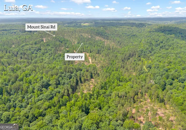 5th image of 0 Mt Sinai #LOT 3, Lula, GA 30554 | MLS# 10796620