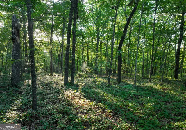 2nd image of 3270 Jeff Davis Rd, Thomaston, GA 30286 | MLS# 10718056