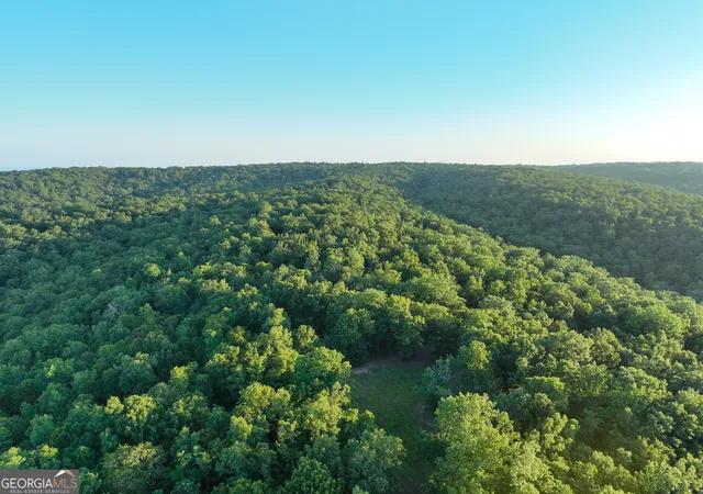 3rd image of 3270 Jeff Davis Rd, Thomaston, GA 30286 | MLS# 10718056