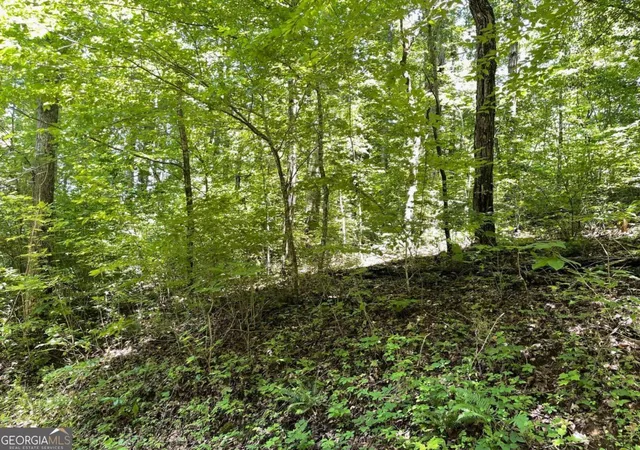 Photo 1 of Land for sale at Lot 11 Fodder Creek Mill Dr, Hiawassee, GA 30546 | MLS# 10340818 | Listing updated on 2026-07-01