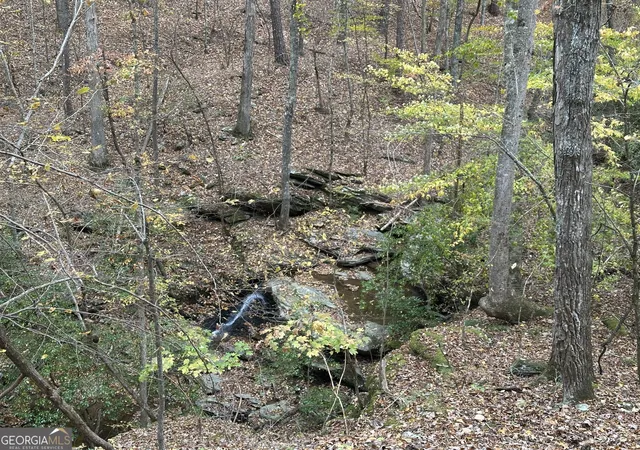5th image of 0 Super Deluxe Rd, Rockmart, GA 30153 | MLS# 10594088