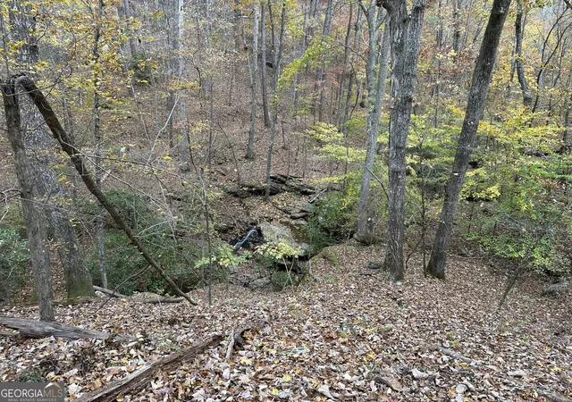77th image of 0 Super Deluxe Rd, Rockmart, GA 30153 | MLS# 10594088