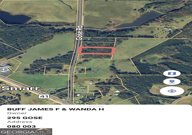20th image of 295 Gose Rd, Forsyth, GA 31029 | MLS# 10793611