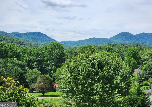 1st image of 2276 Lovingood Rd, Hiawassee, GA 30546 | MLS# 10654959