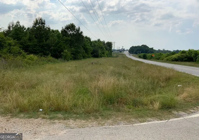 1st image of 0 Owl Hollow Road, Carnesville, GA 30521 | MLS# 10814104