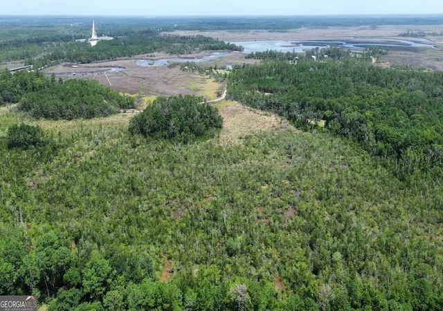 Photo 1 of Land for sale at 0 Newport Dr Ne, Townsend, GA 31331 | MLS# 10804810 | Listing updated on 2026-07-27