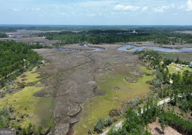 Photo 4 of Land for sale at 0 Newport Dr NE, Townsend, GA 31331 | MLS# 10804810 | Listing updated on 2026-07-27
