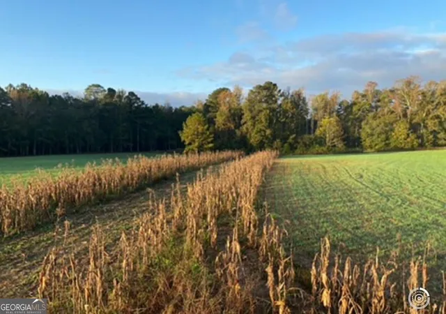 2nd image of 55 +/  Ac Mt Carmel, Senoia, GA 30276 | MLS# 10728782