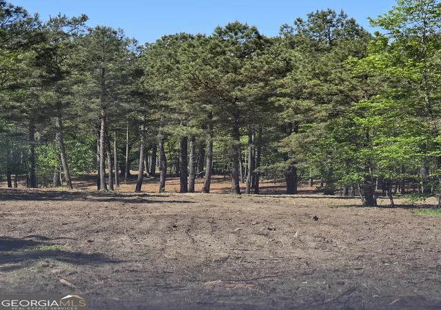 3rd image of 55 +/- Ac Mt Carmel, Senoia, GA 30276 | MLS# 10728782
