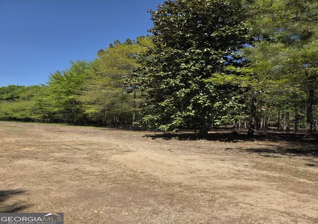 4th image of 55 +/- Ac Mt Carmel, Senoia, GA 30276 | MLS# 10728782