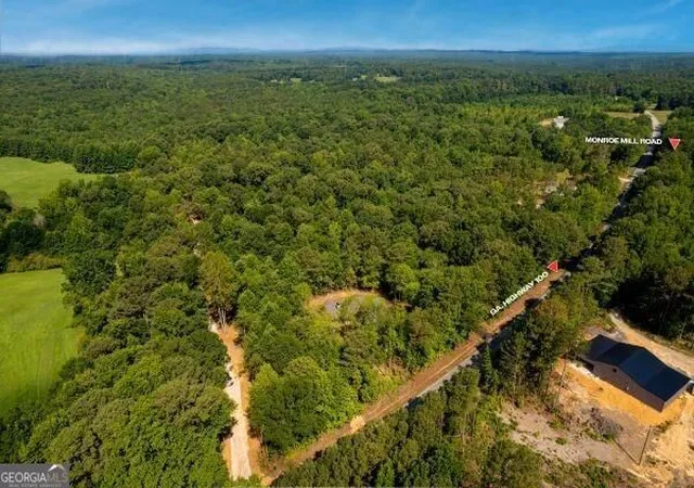 12th image of 7804 Georgia Hwy 100, Buchanan, GA 30113 | MLS# 10834865