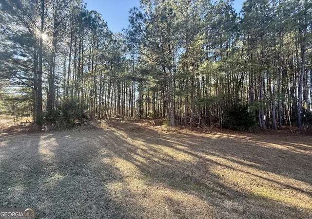 Homes for sale in Forsyth, GA | 303 Freedom Dr, Forsyth, GA 31029 | MLS# 10676810