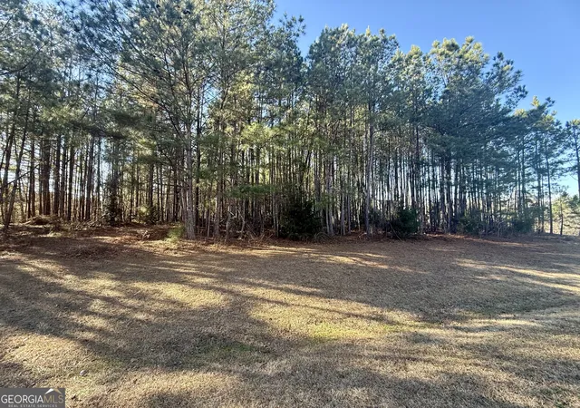 Homes for sale in Forsyth, GA | 303 Freedom Dr, Forsyth, GA 31029 | MLS# 10676810