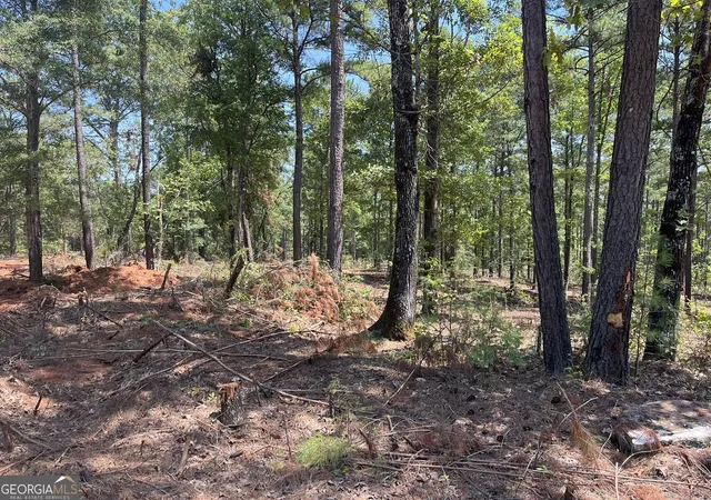 Photo 3 of Land for sale at Lot 17 Gordon Rd, Forsyth, GA 31029 | MLS# 10793873 | Listing updated on 2026-09-14