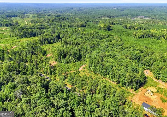4th image of 734 Giles Rd, Forsyth, GA 31029 | MLS# 10824549