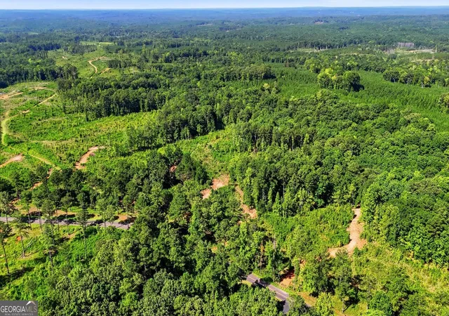 5th image of 734 Giles Rd, Forsyth, GA 31029 | MLS# 10824549
