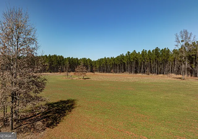 1st image of T1 Old Zebulon Rd, Forsyth, GA 31029 | MLS# 10826003