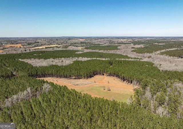 2nd image of T1 Old Zebulon Rd, Forsyth, GA 31029 | MLS# 10826003