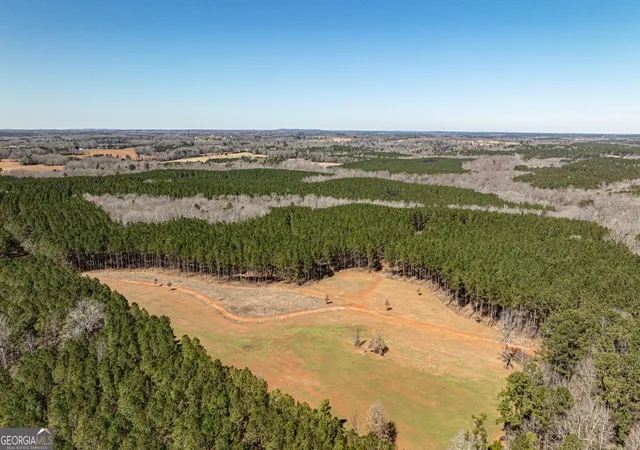 3rd image of T1 Old Zebulon Rd, Forsyth, GA 31029 | MLS# 10826003