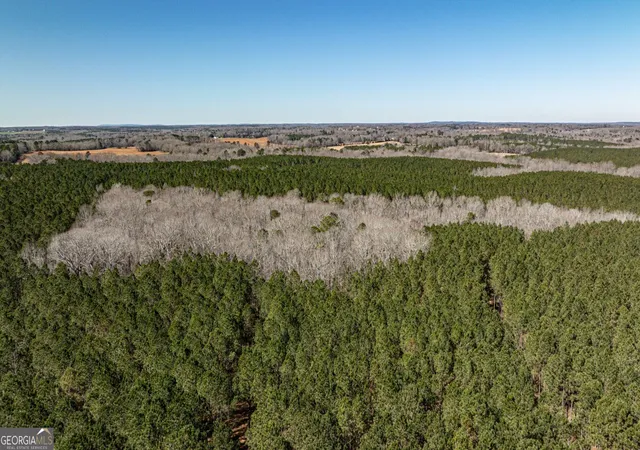 4th image of T1 Old Zebulon Rd, Forsyth, GA 31029 | MLS# 10826003