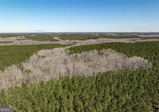5th image of T1 Old Zebulon Rd, Forsyth, GA 31029 | MLS# 10826003