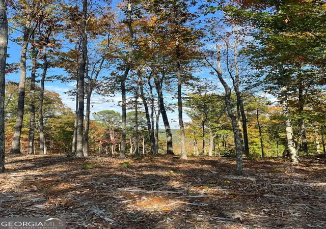 3rd image of Lot 292 Creekside Xing #292, Talking Rock, GA 30175 | MLS# 10815378