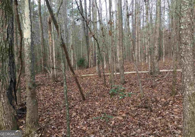 image of 393 Stallsworth Rd, Mcdonough, GA 30252 | MLS# 10565134
