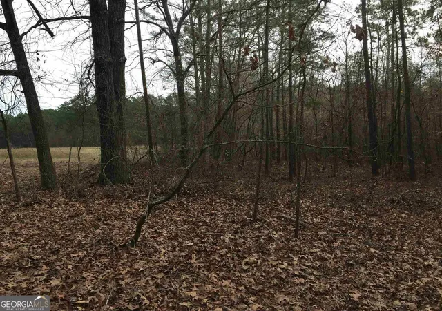 image of 393 Stallsworth Rd, Mcdonough, GA 30252 | MLS# 10565134