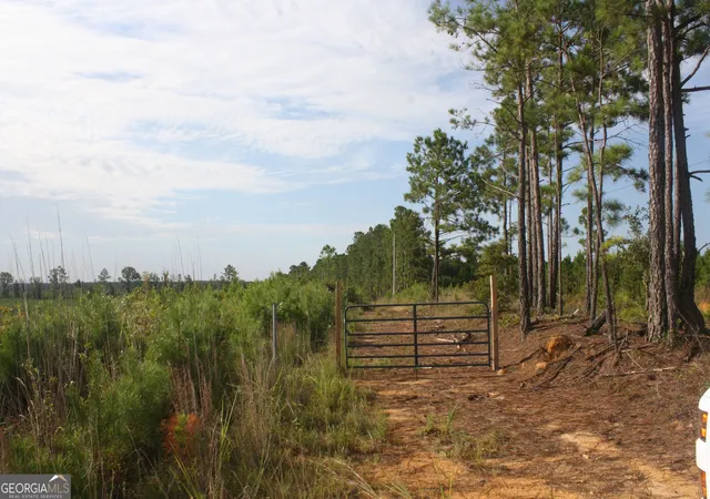 Photo 1 of Land for sale at 0 Balerma Church Rd #TRACT 2, Sparta, GA 31087 | MLS# 10833919 | Listing updated on 2026-09-28