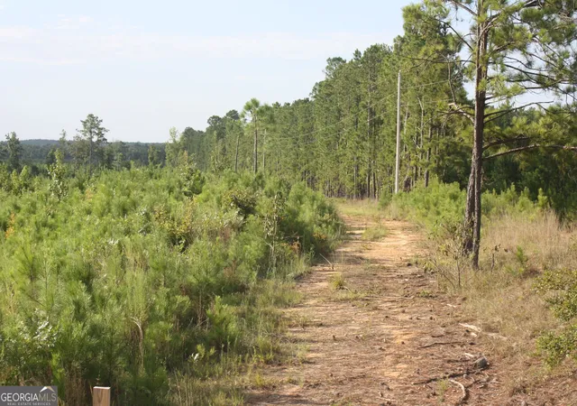 Photo 2 of Land for sale at 0 Balerma Church Rd #TRACT 2, Sparta, GA 31087 | MLS# 10833919 | Listing updated on 2026-09-28