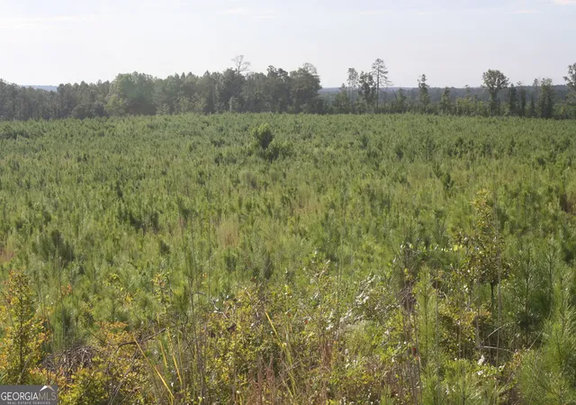 Photo 3 of Land for sale at 0 Balerma Church Rd #TRACT 2, Sparta, GA 31087 | MLS# 10833919 | Listing updated on 2026-09-28