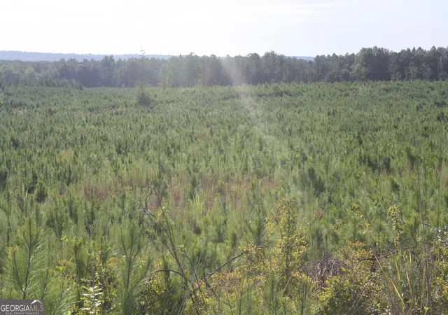 Photo 4 of Land for sale at 0 Balerma Church Rd #TRACT 2, Sparta, GA 31087 | MLS# 10833919 | Listing updated on 2026-09-28