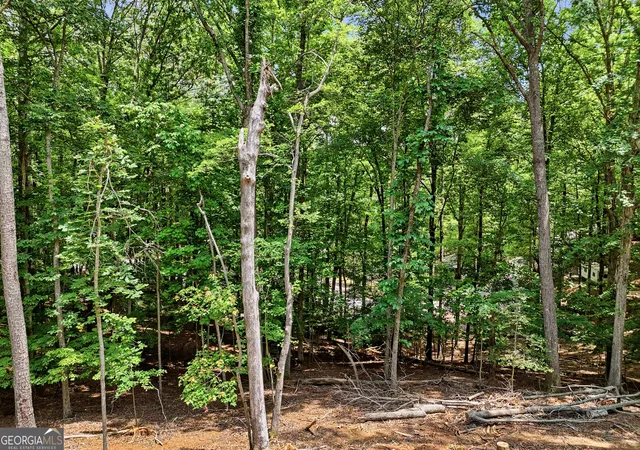 29th image of 1883 Newport Dr #1868, Ellijay, GA 30540 | MLS# 10753704