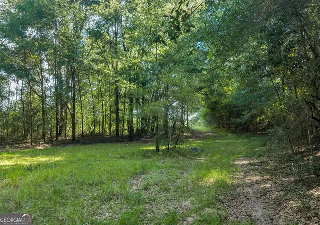 Photo 2 of Sale Pending at 0 Airport Rd, Hawkinsville, GA 31036 | MLS# 10828858 | Listing updated on 2026-09-10