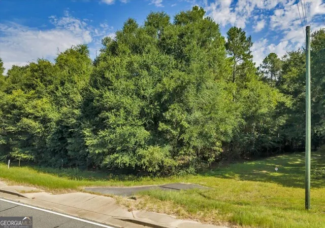 Photo 3 of Sale Pending at 0 Airport Rd, Hawkinsville, GA 31036 | MLS# 10828858 | Listing updated on 2026-09-10