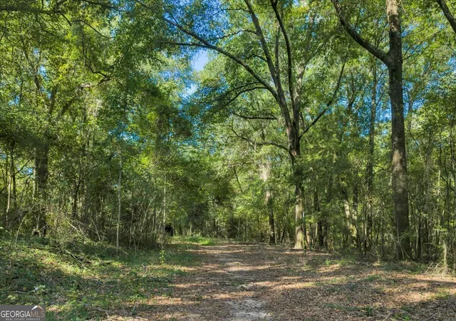 Photo 4 of Sale Pending at 0 Airport Rd, Hawkinsville, GA 31036 | MLS# 10828858 | Listing updated on 2026-09-10
