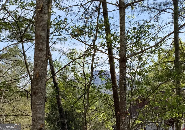 4th image of 39b Sportarten Strasse, Helen, GA 30545 | MLS# 10729441