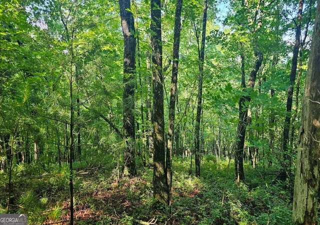 1st image of 0 Cornsilk, Tiger, GA 30576 | MLS# 10794735