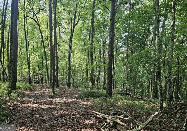 22nd image of 0 Cornsilk, Tiger, GA 30576 | MLS# 10794735
